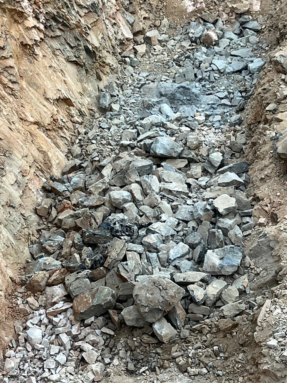 8b8321c9-f0f0-4fd6-8e14-9a8090701e5c