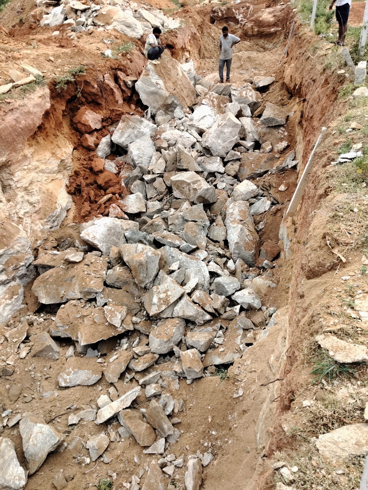 WhatsApp Image 2026-02-12 at 11.02.31 AM (1)