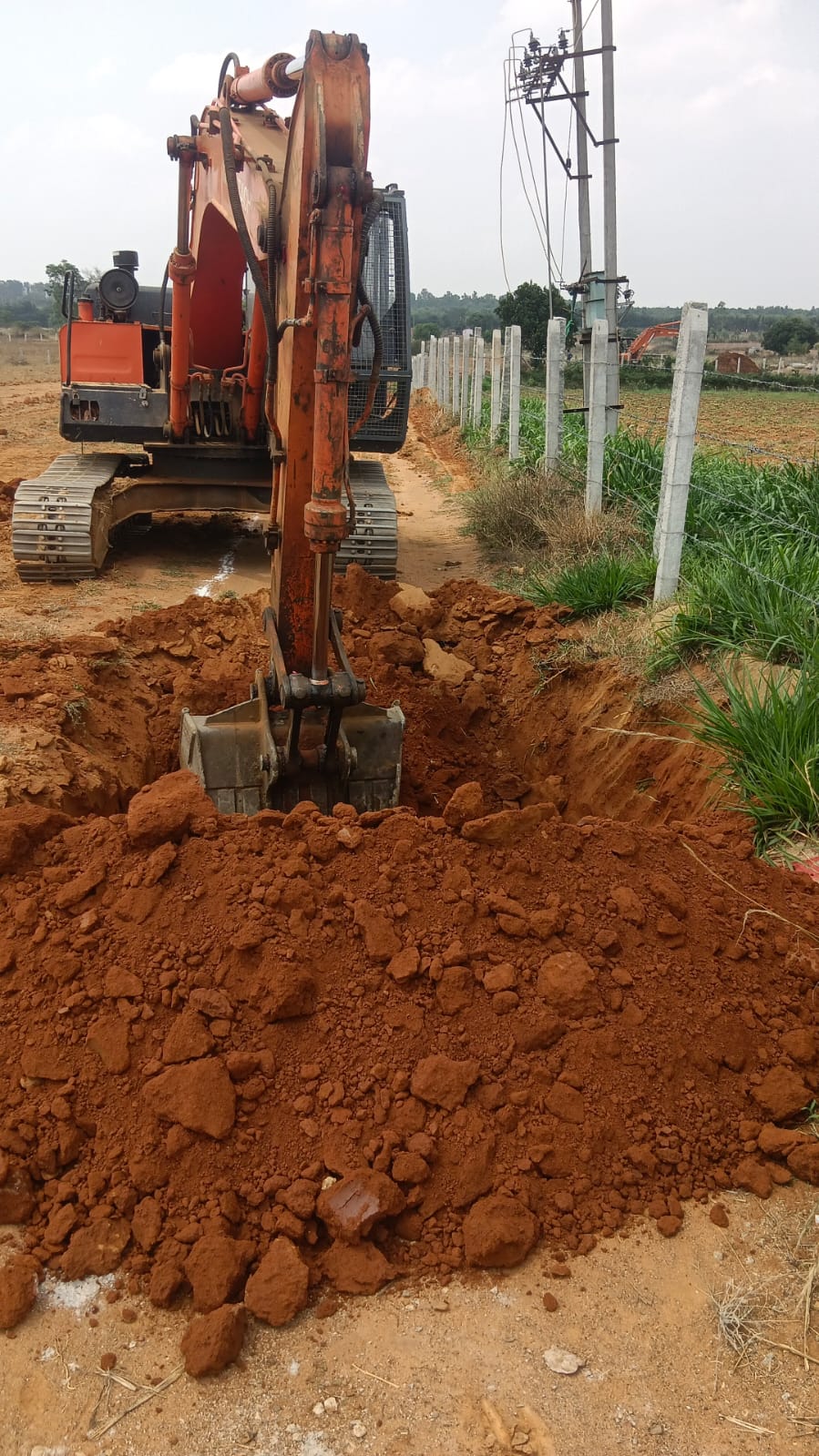 WhatsApp Image 2026-02-12 at 11.16.33 AM