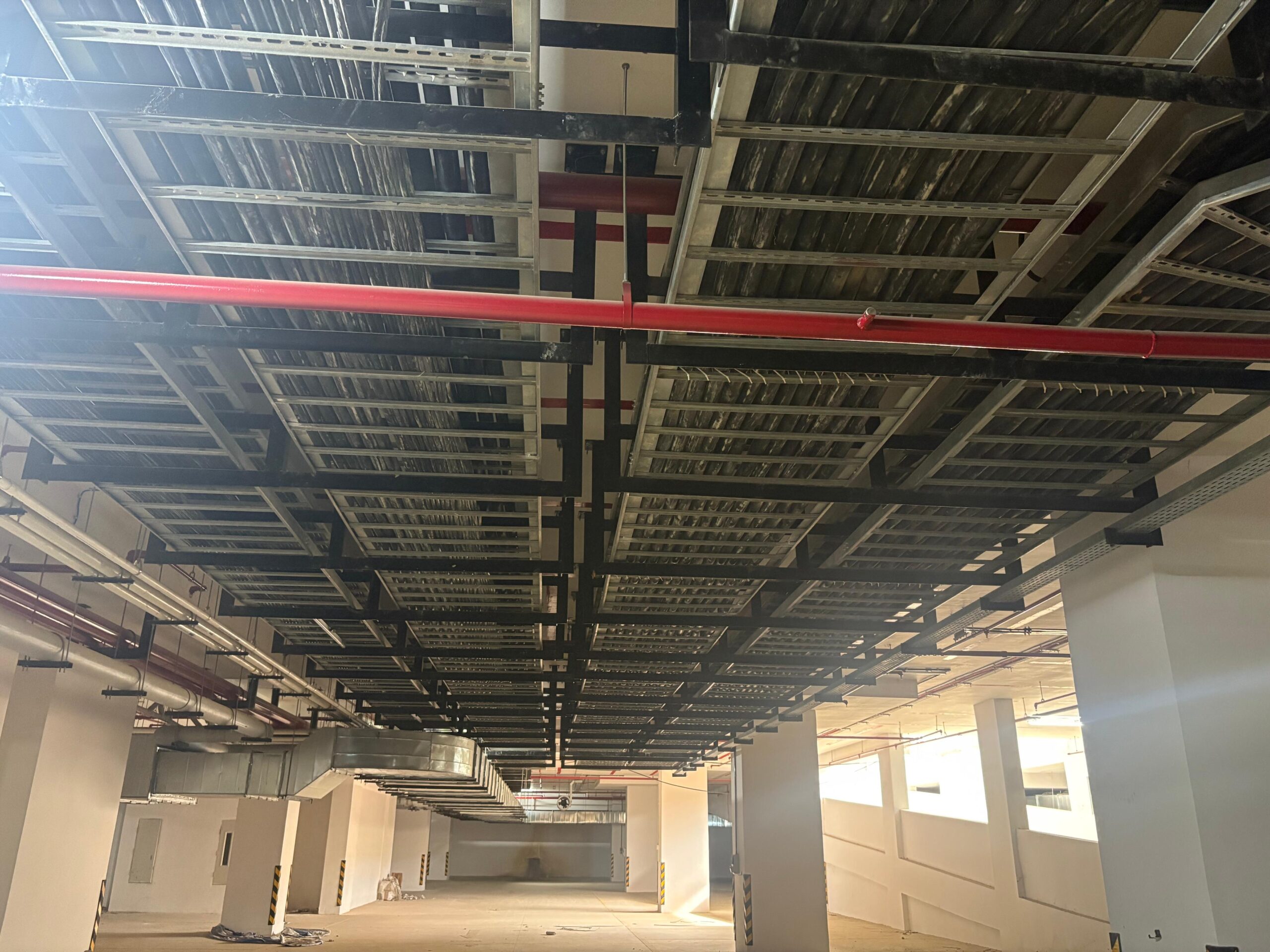 WhatsApp Image 2026-02-12 at 12.32.23 PM